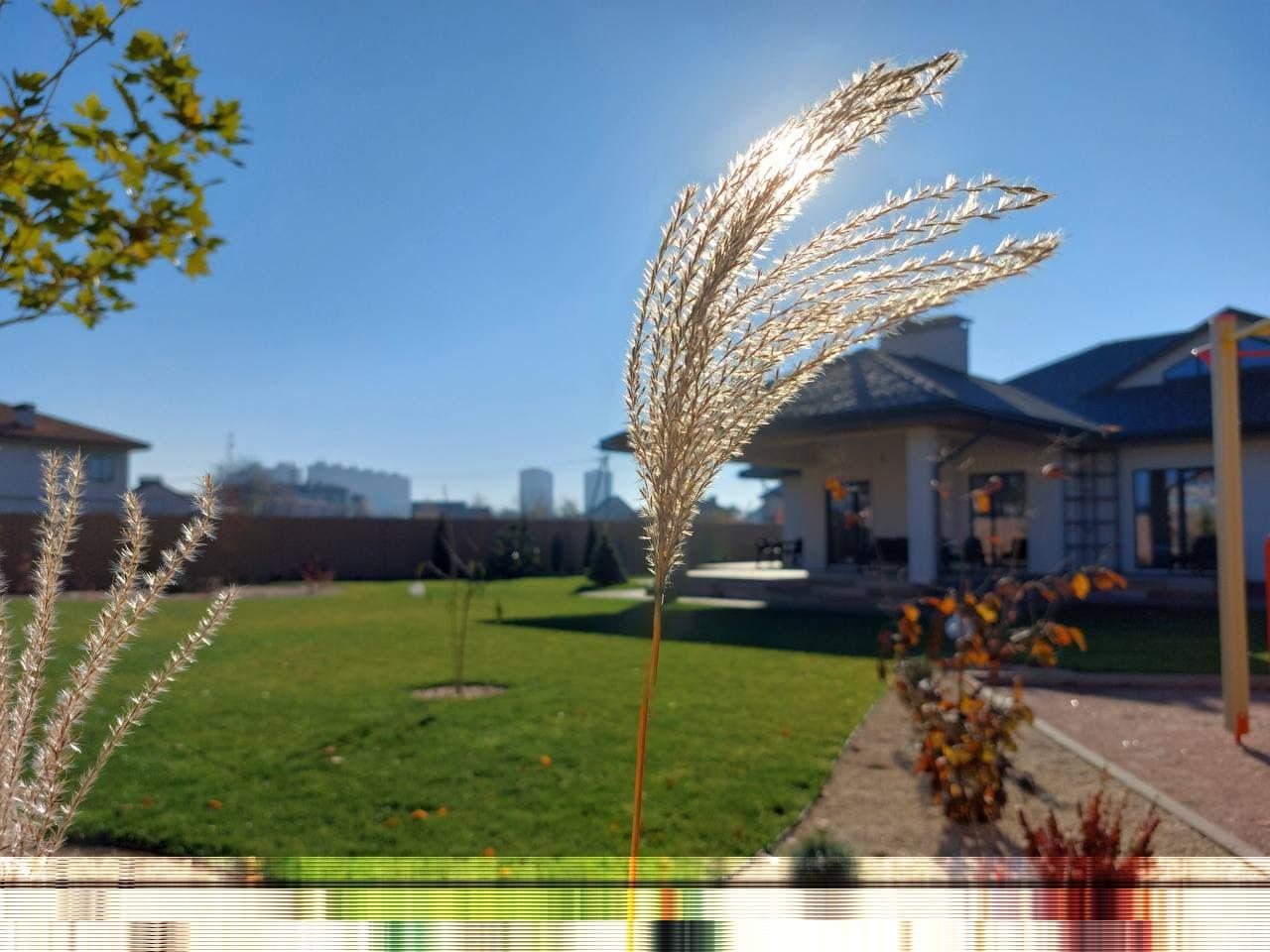 НОВОСВІТ Контакти